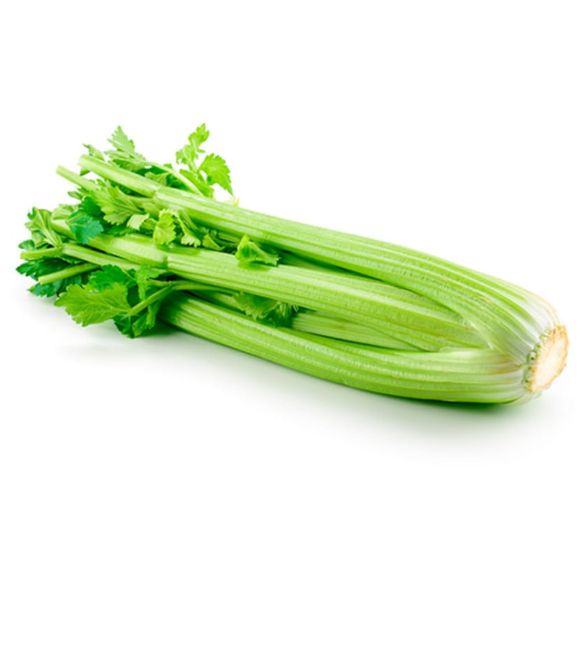 Celery on a white background.