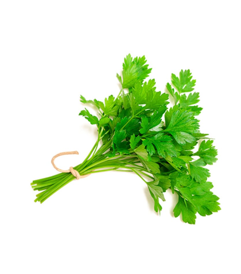 A bunch of cilantro on a white background.
