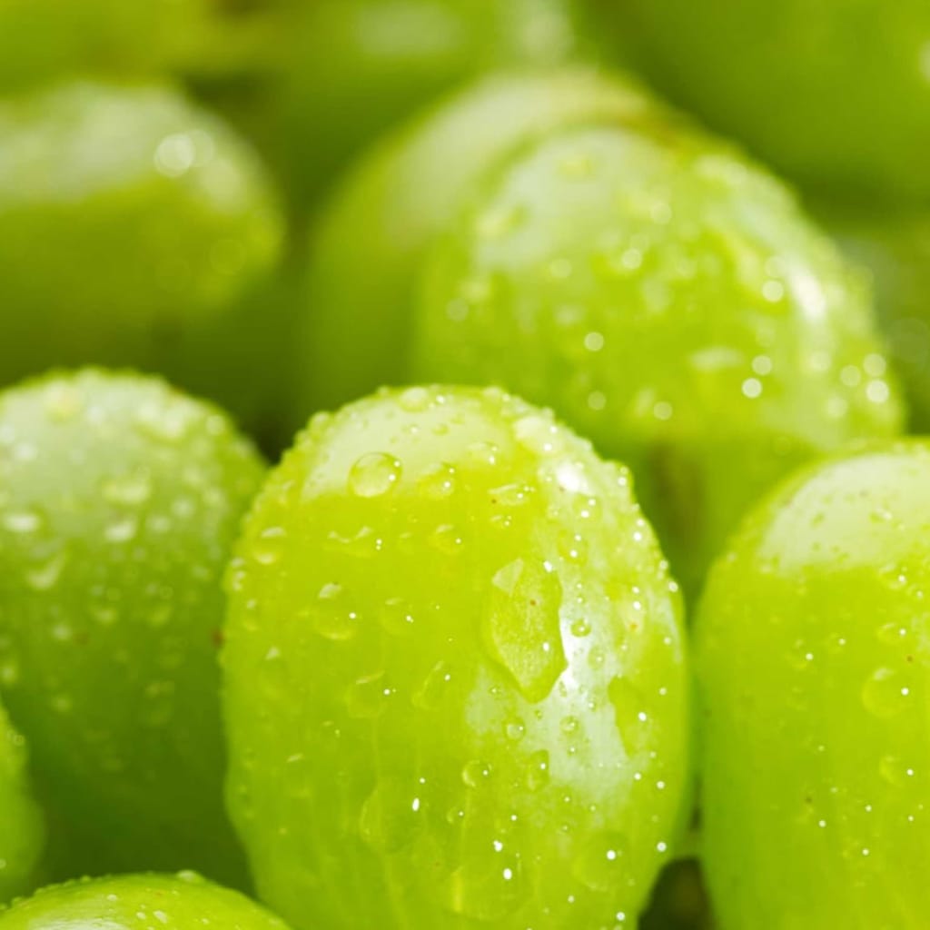 A close up of green grapes with water droplets.
