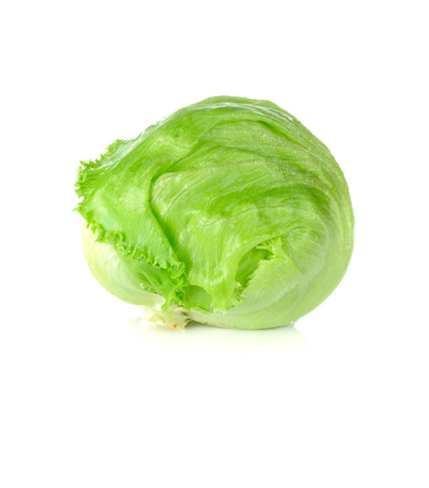 An iceberg lettuce on a white background.