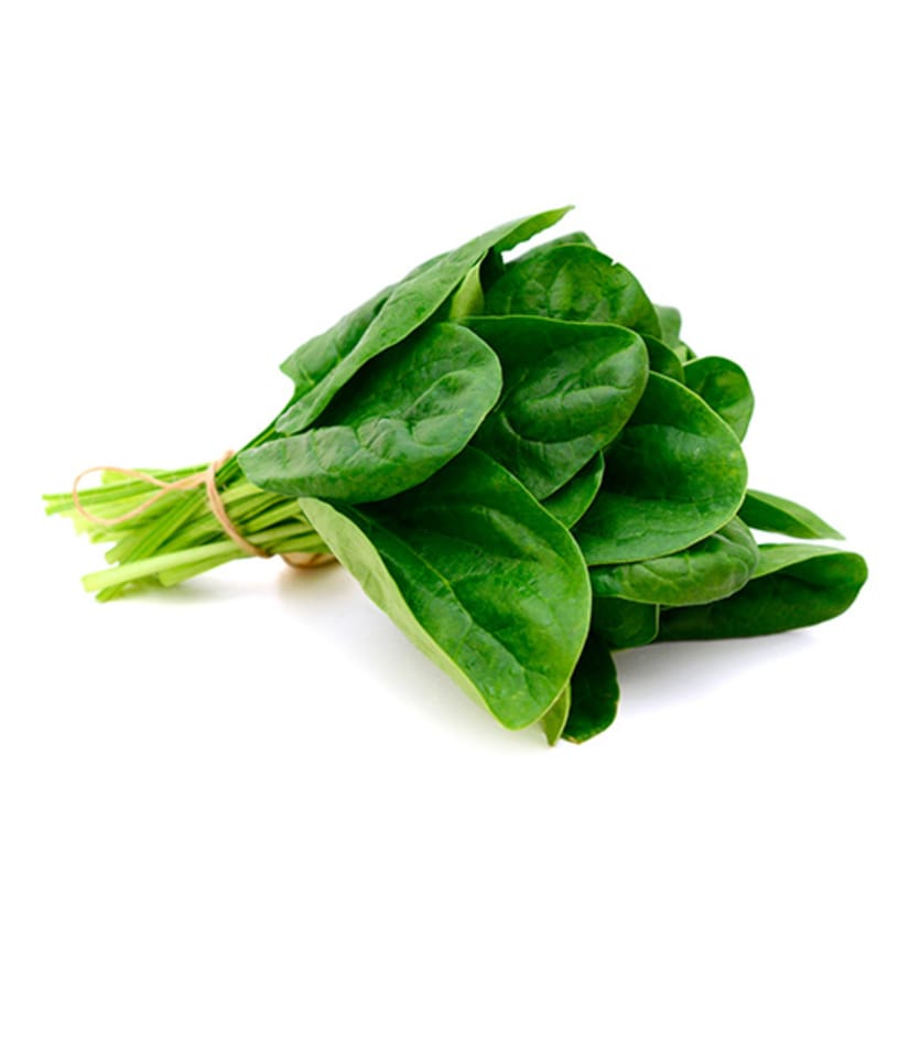Fresh spinach leaves on a white background.