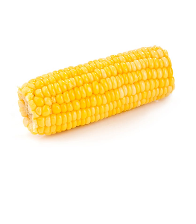 A cob of yellow corn on a white background.